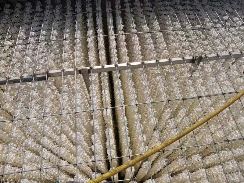 工程案例